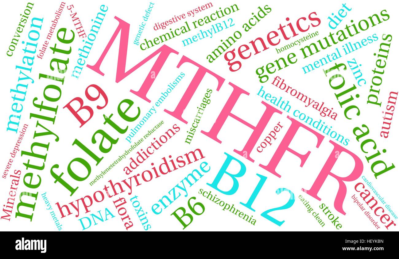 MTHFR word cloud on a white background. Stock Vector