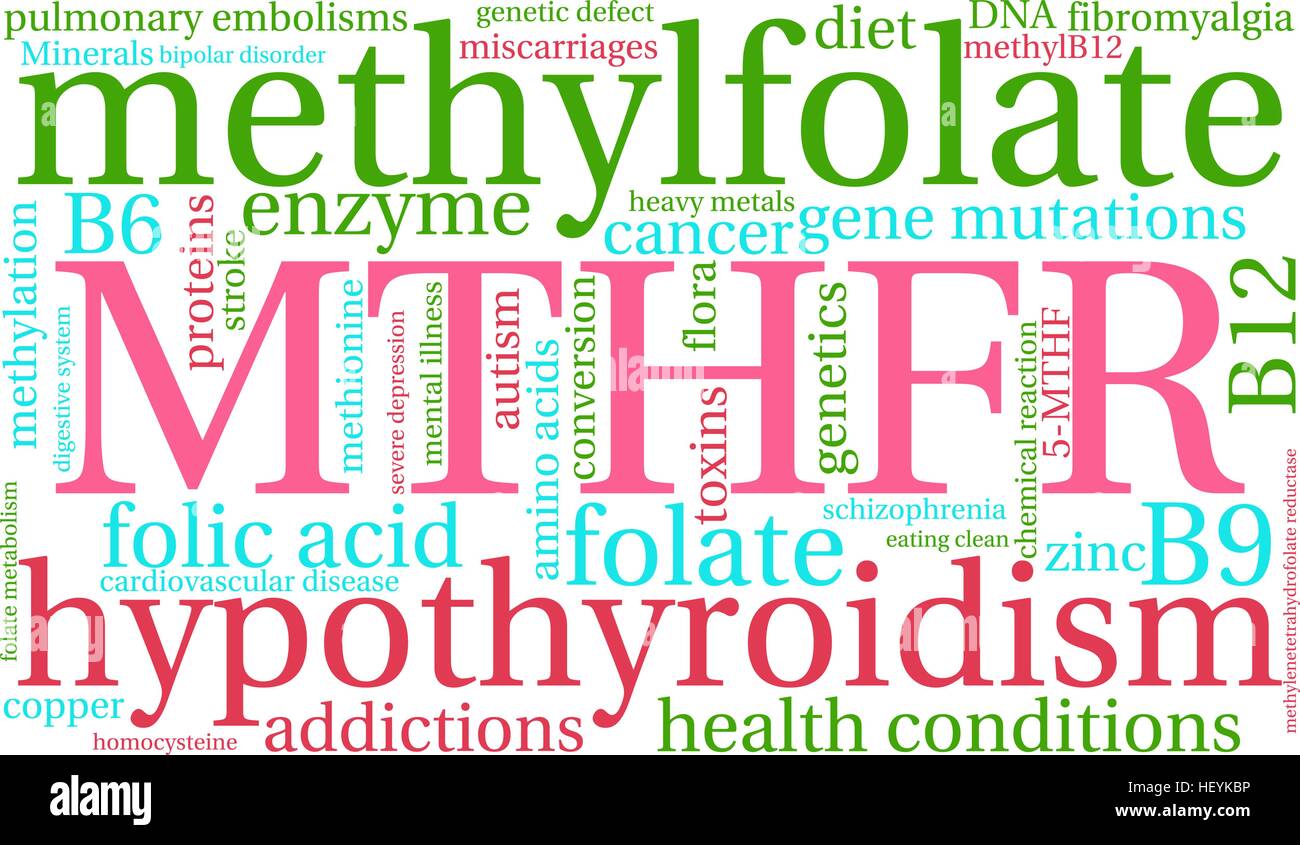MTHFR word cloud on a white background. Stock Vector