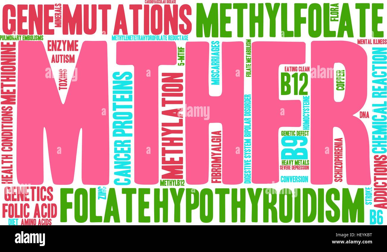 MTHFR word cloud on a white background. Stock Vector