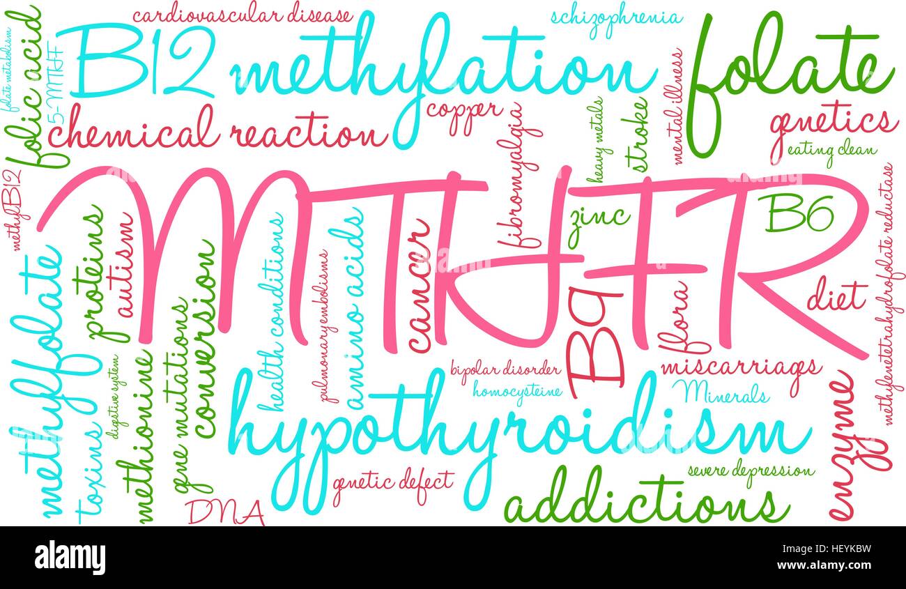 MTHFR word cloud on a white background. Stock Vector
