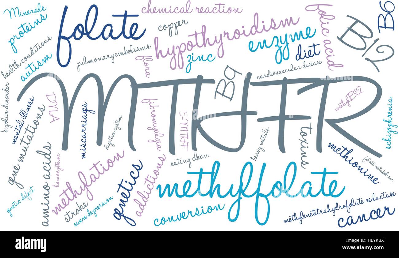 MTHFR word cloud on a white background. Stock Vector