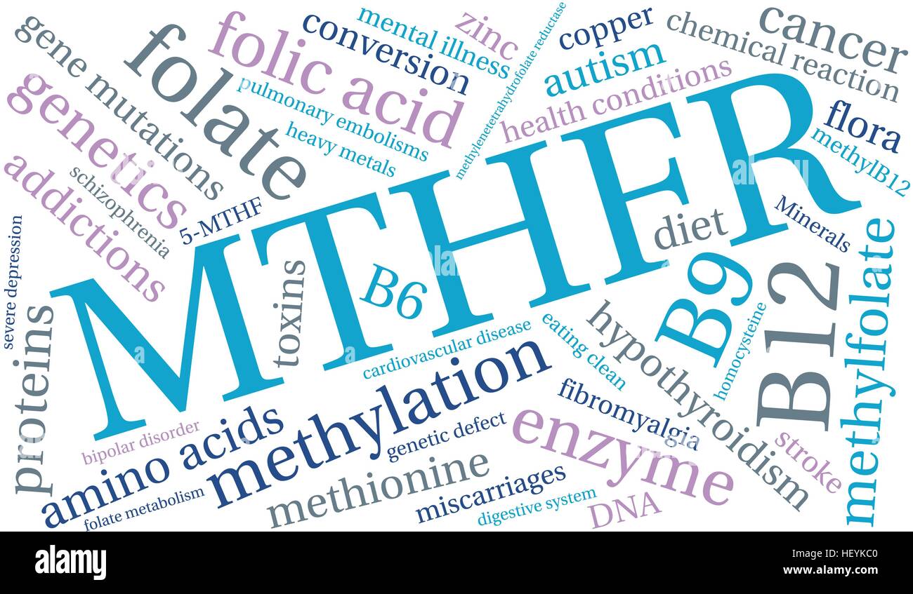 MTHFR word cloud on a white background. Stock Vector