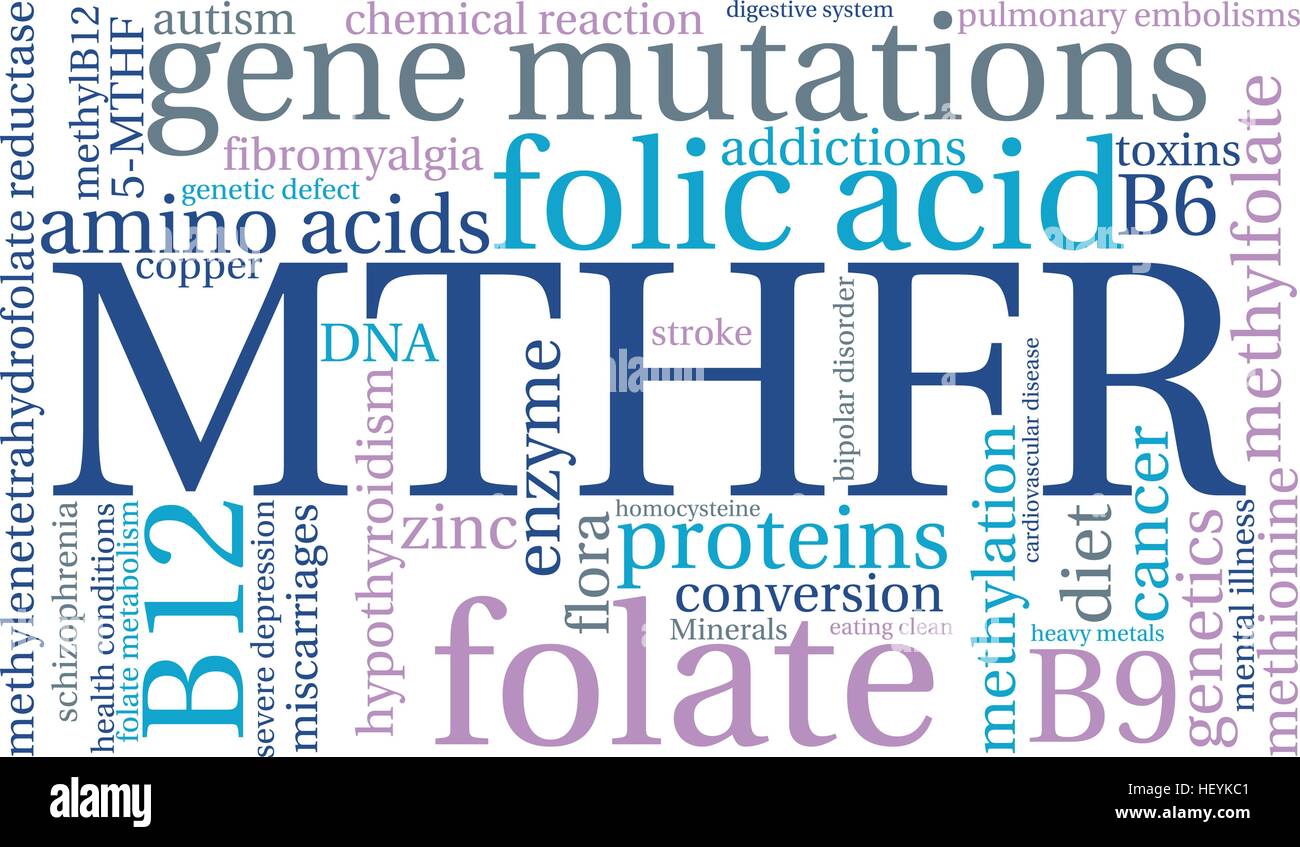 MTHFR word cloud on a white background. Stock Vector