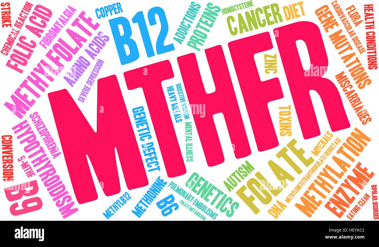 MTHFR word cloud on a white background. Stock Vector