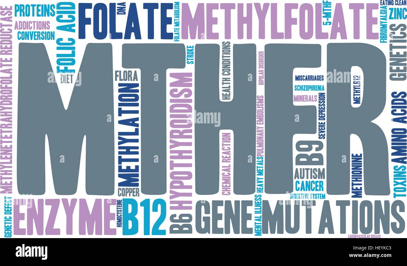 MTHFR word cloud on a white background. Stock Vector