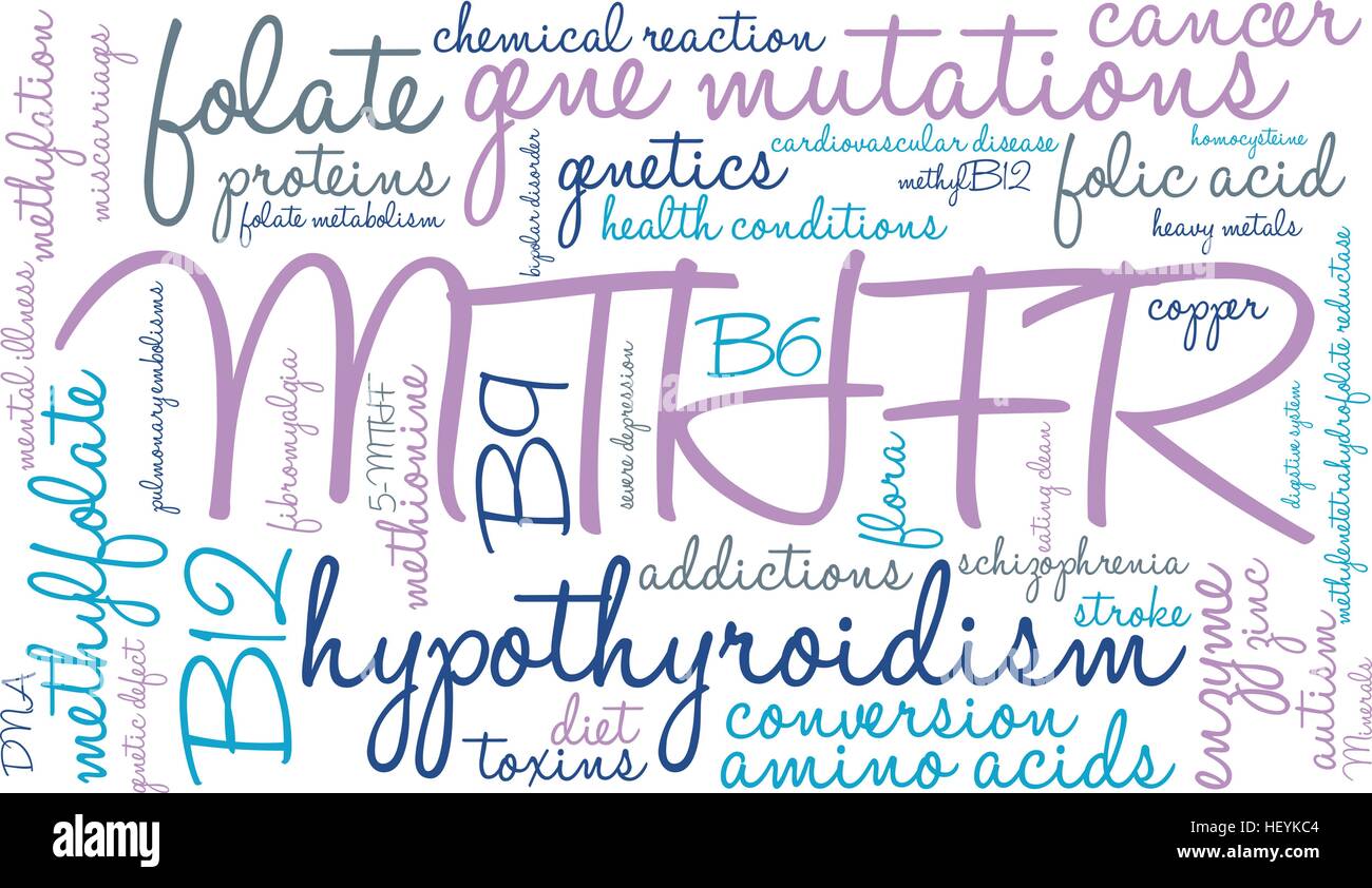 MTHFR word cloud on a white background. Stock Vector