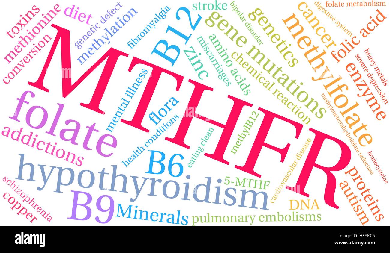 MTHFR word cloud on a white background. Stock Vector