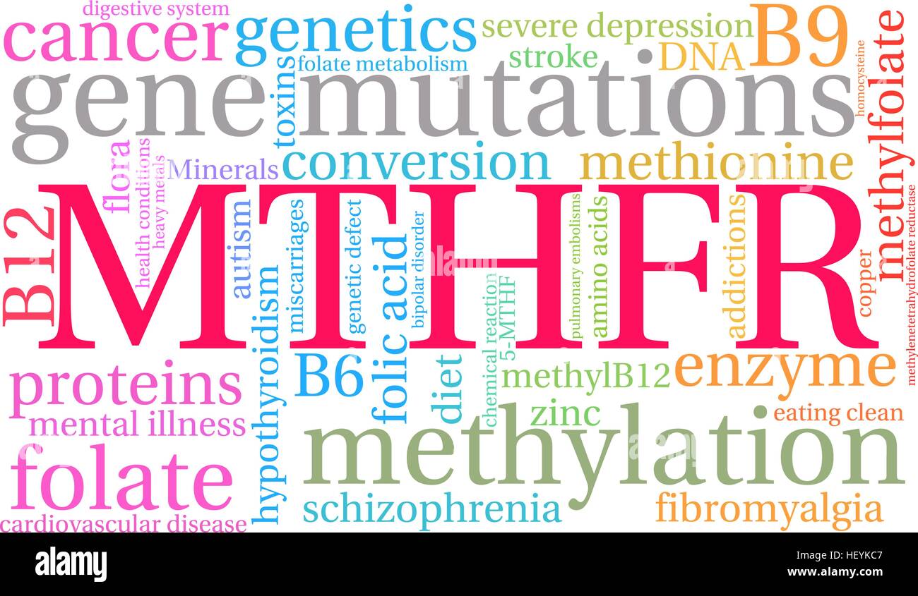 MTHFR word cloud on a white background. Stock Vector