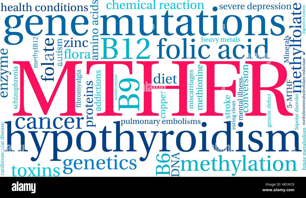 MTHFR word cloud on a white background. Stock Vector