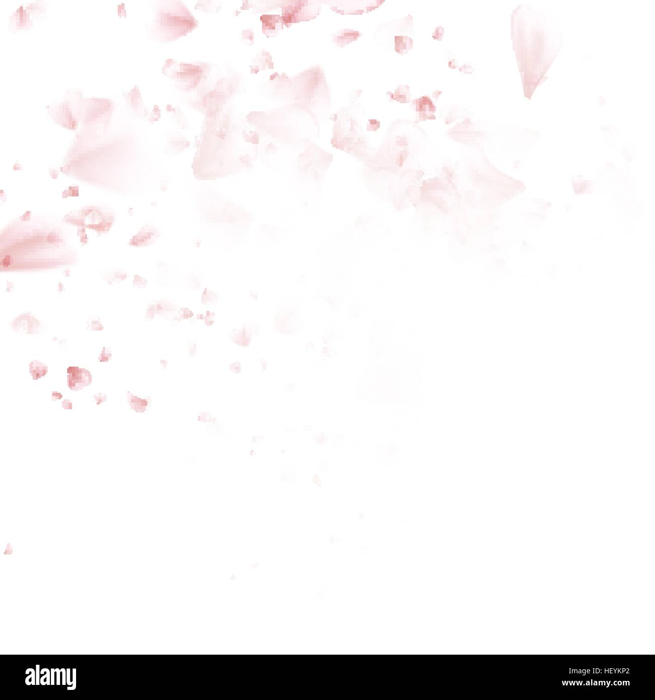 Beautiful pink cherry blossom. EPS 10 Stock Vector Image & Art - Alamy