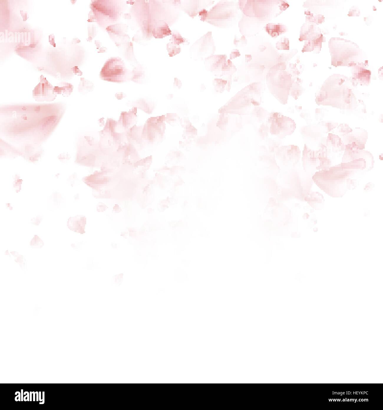 Sakura flying petals on dark background. EPS 10 Stock Vector
