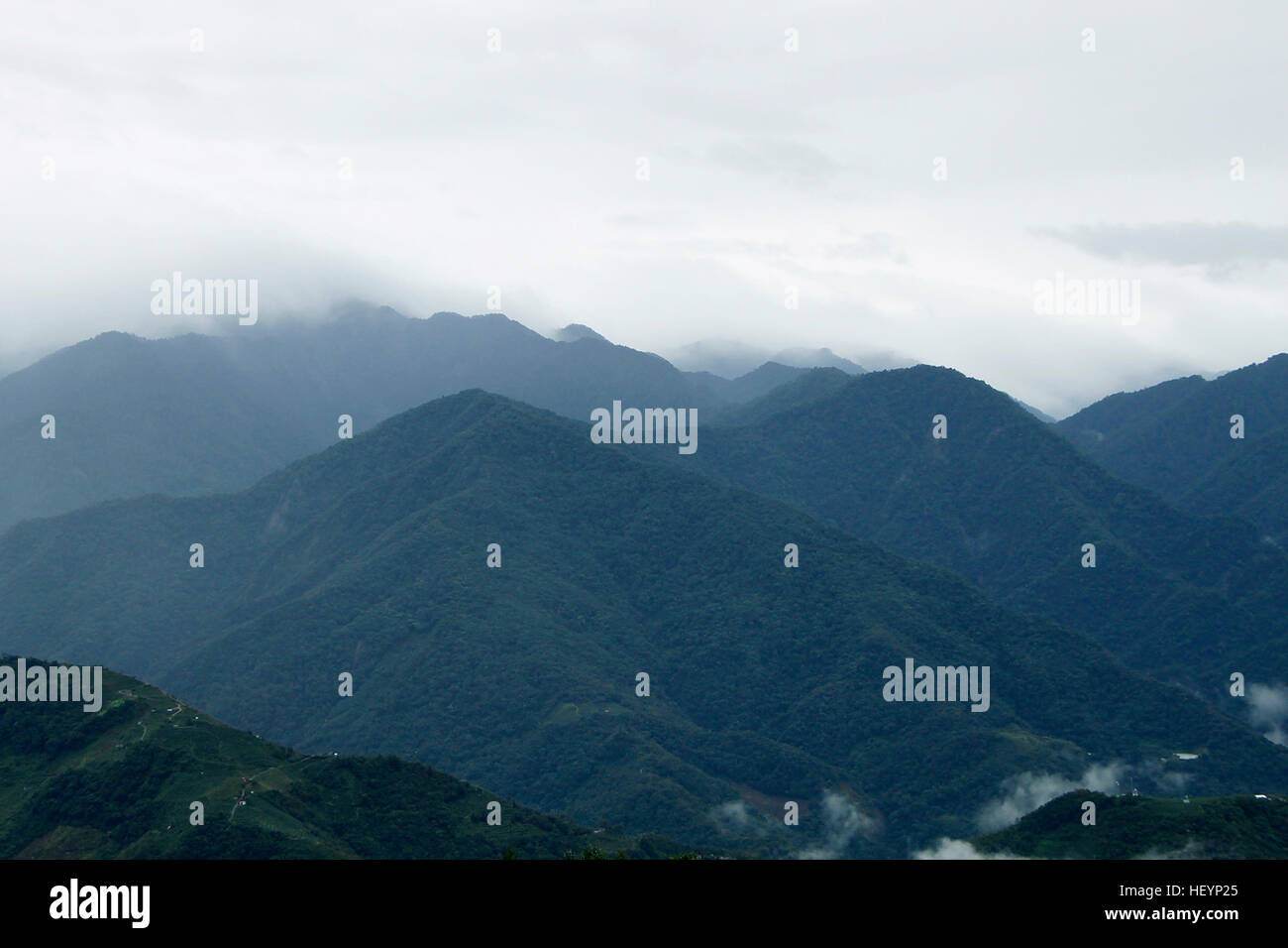 Misty tropical mountain Stock Photo - Alamy