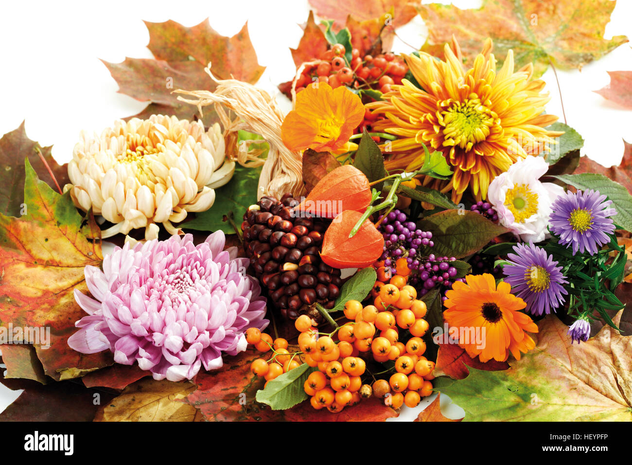 Autumn decoration: firethorn berries, beautyberries, chrysanthemums, Chinese lanterns, autumn asters, pot marigolds and Stock Photo