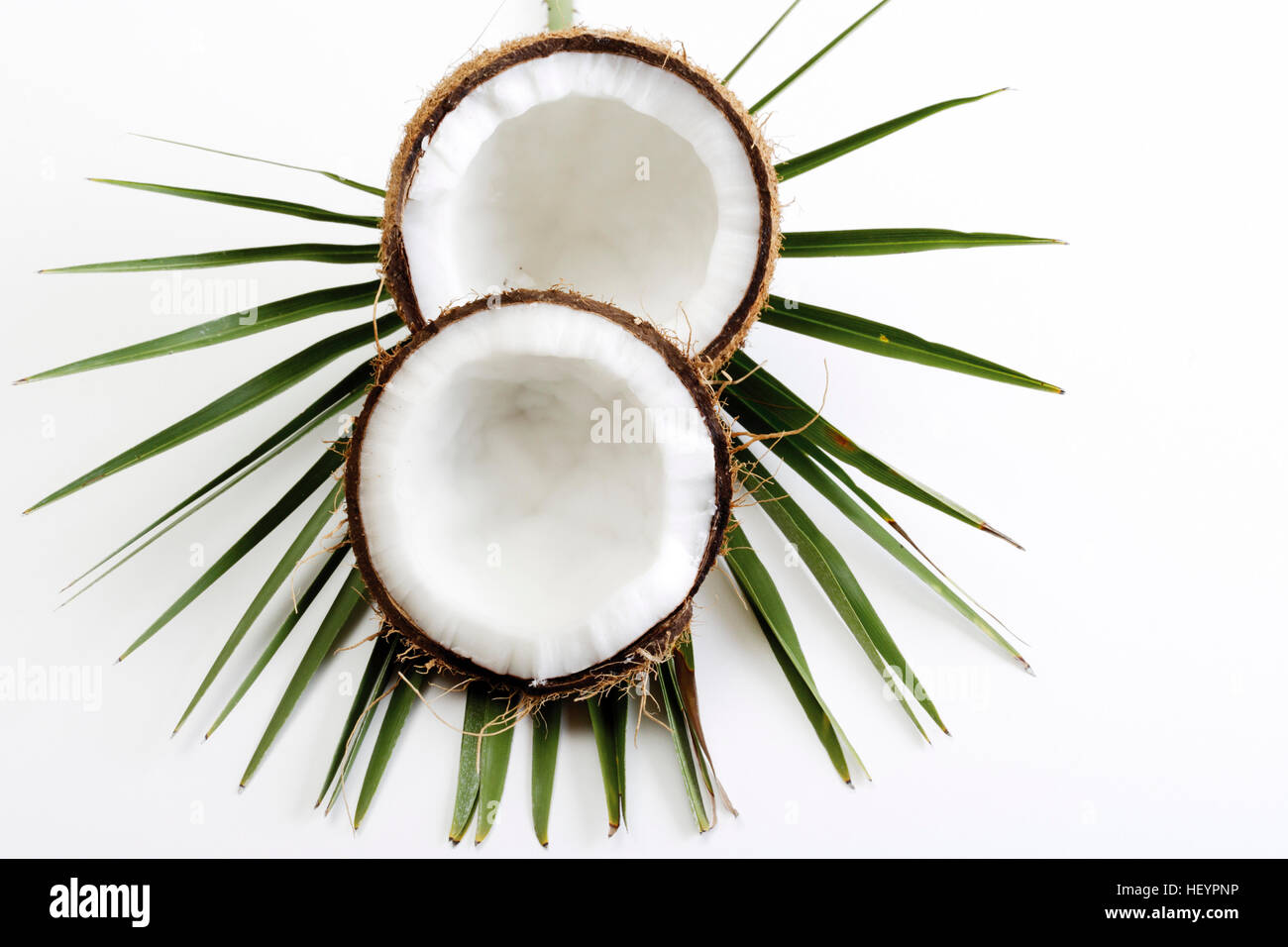 Halved coconut laying on a palm frond (Cocos nucifera Stock Photo Alamy