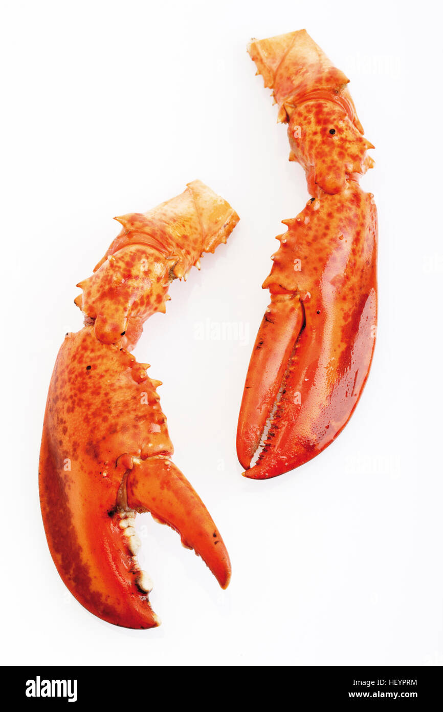 Two lobster claws, pincers Stock Photo