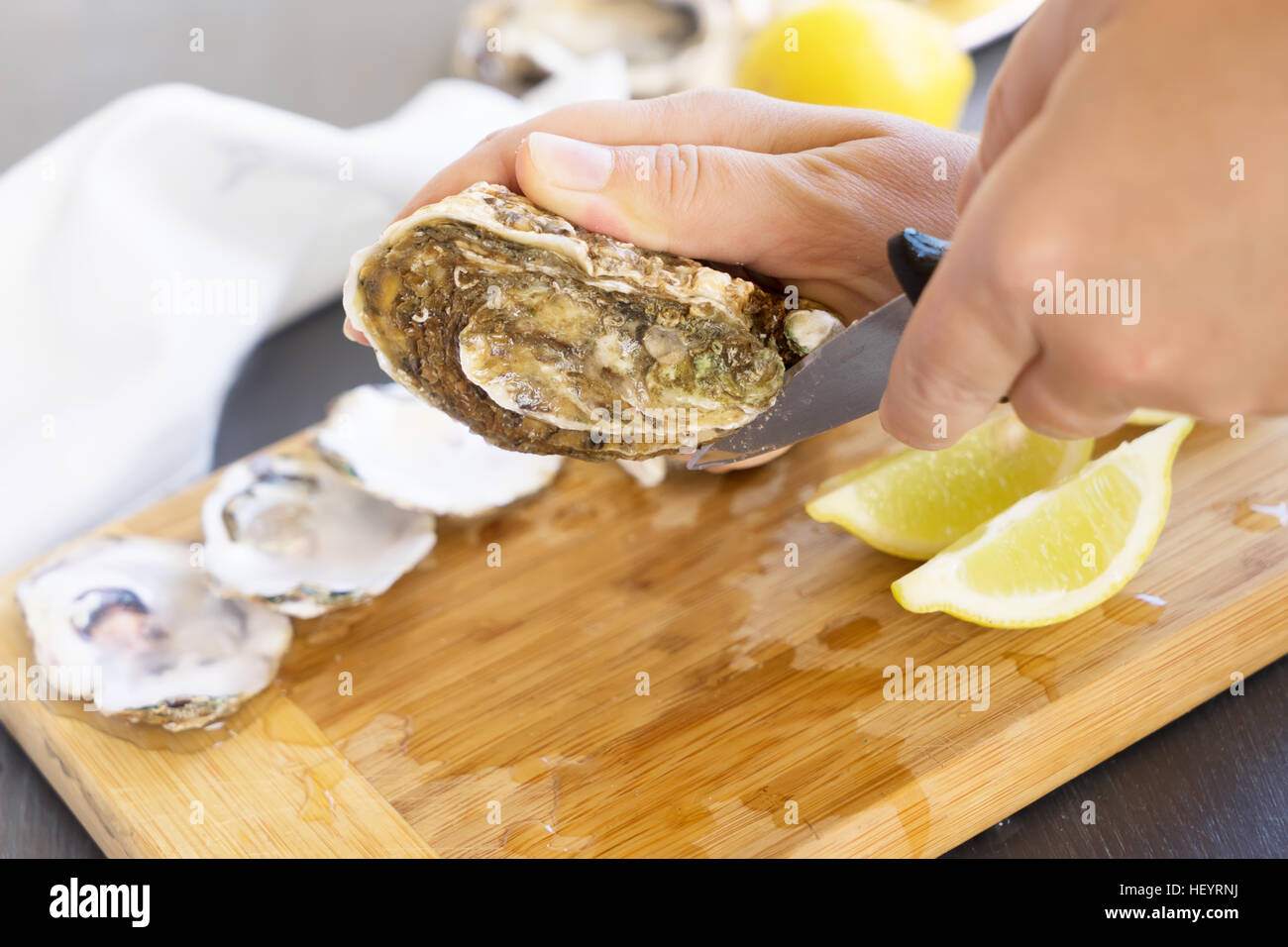 Raw oysters shells Stock Photo Alamy