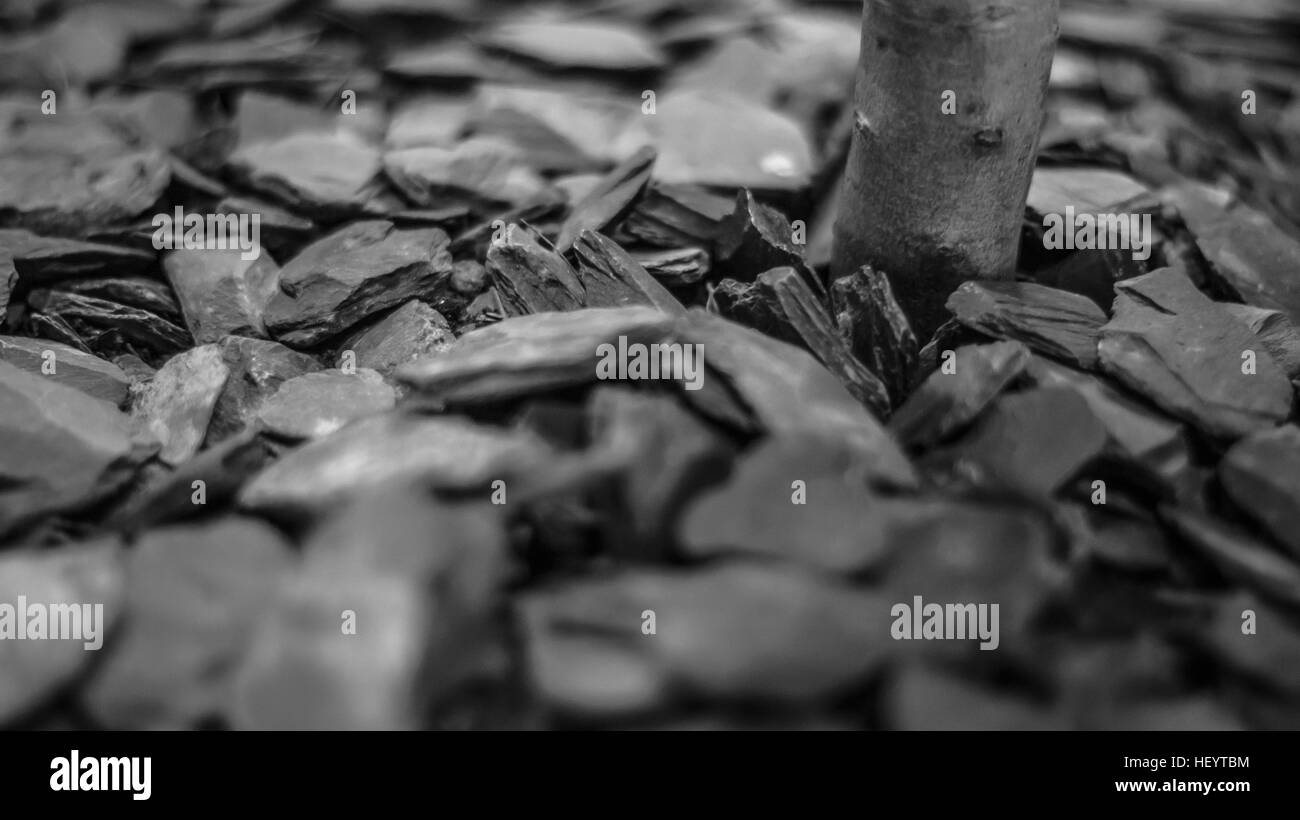 close shot of rocks in black and white Stock Photo - Alamy