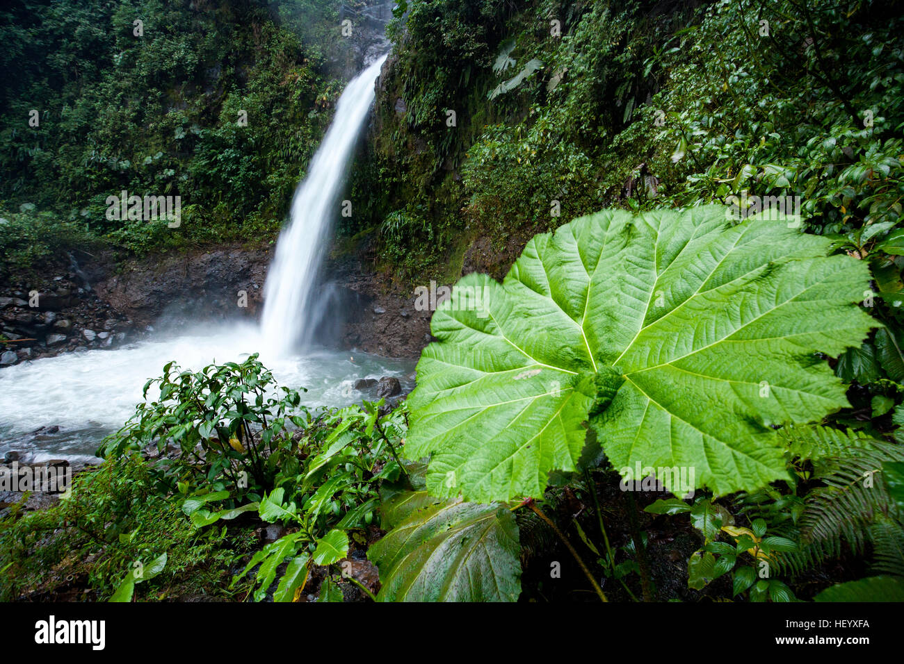 La Paz Waterfall -  north of Alajuela, Costa Rica Stock Photo