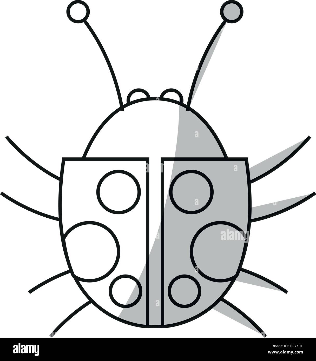 Isolated bug design Stock Vector Image & Art - Alamy