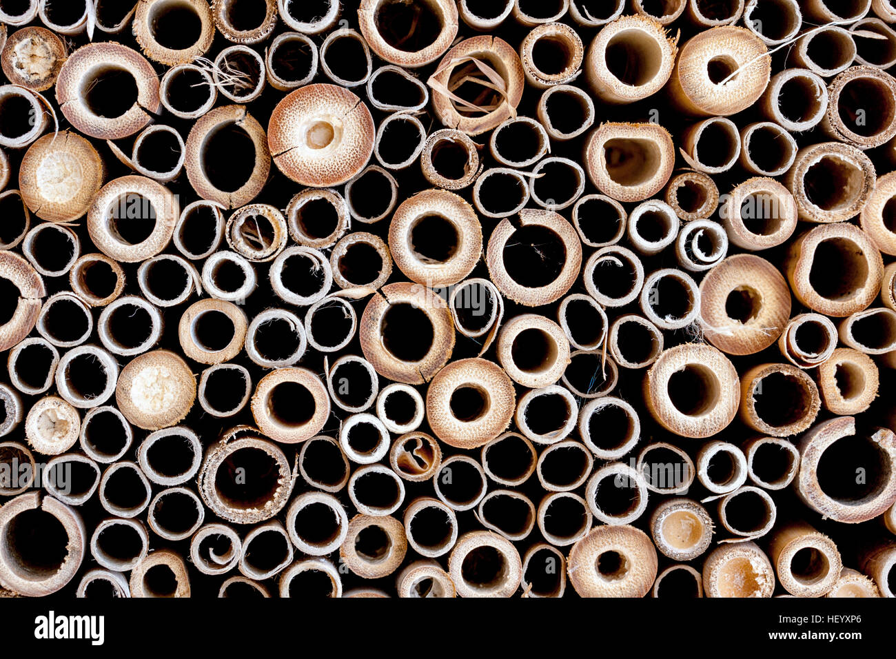 Wooden Cylinder Patterns - North Carolina, USA Stock Photo