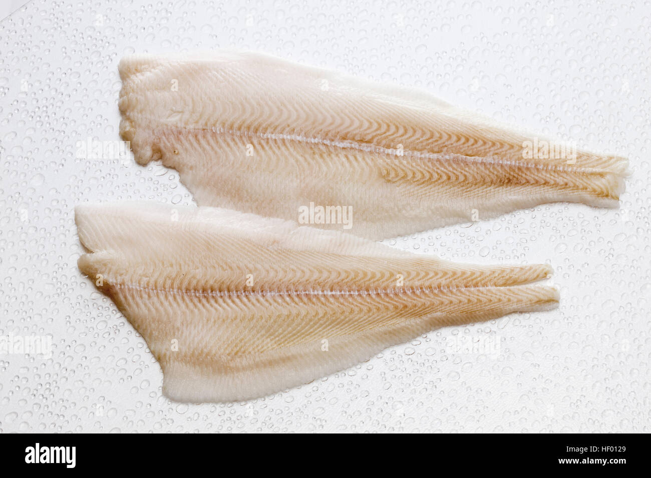 Atlantic Halibut filets, raw (Hippoglossus hippoglossus) Stock Photo