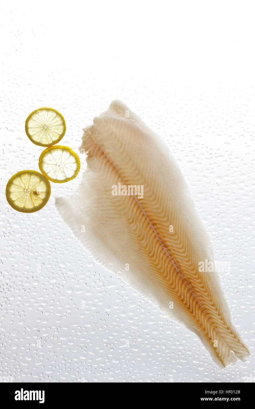 Atlantic Halibut filet, raw (Hippoglossus hippoglossus Stock Photo Alamy