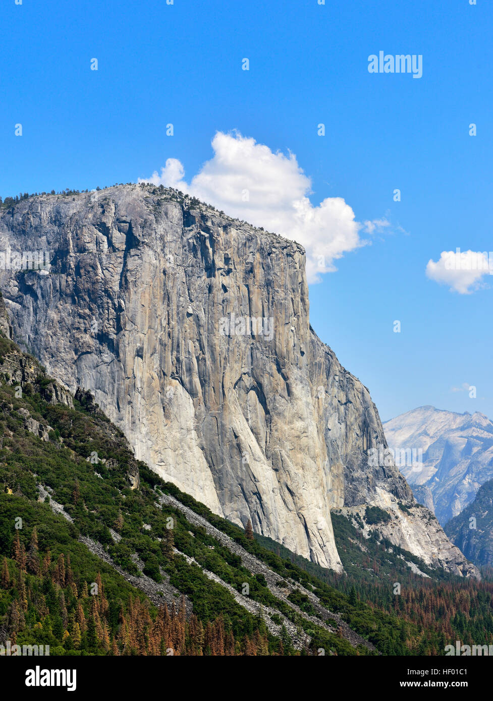 El Capitan, granite, eroded mountain, Yosemite Valley, Yosemite National Park, California, USA Stock Photo
