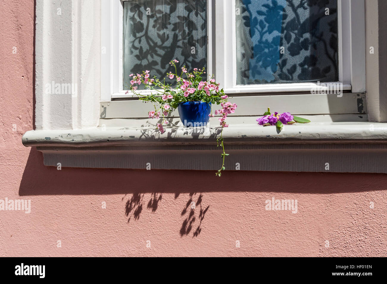 An old house window decorated with flower pots in Bamberg, Germany Stock Photo