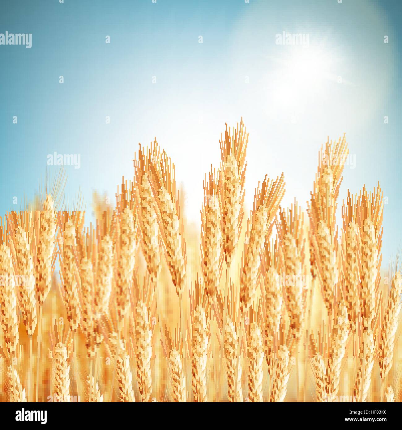 Golden wheat field and sunny day. EPS 10 Stock Vector