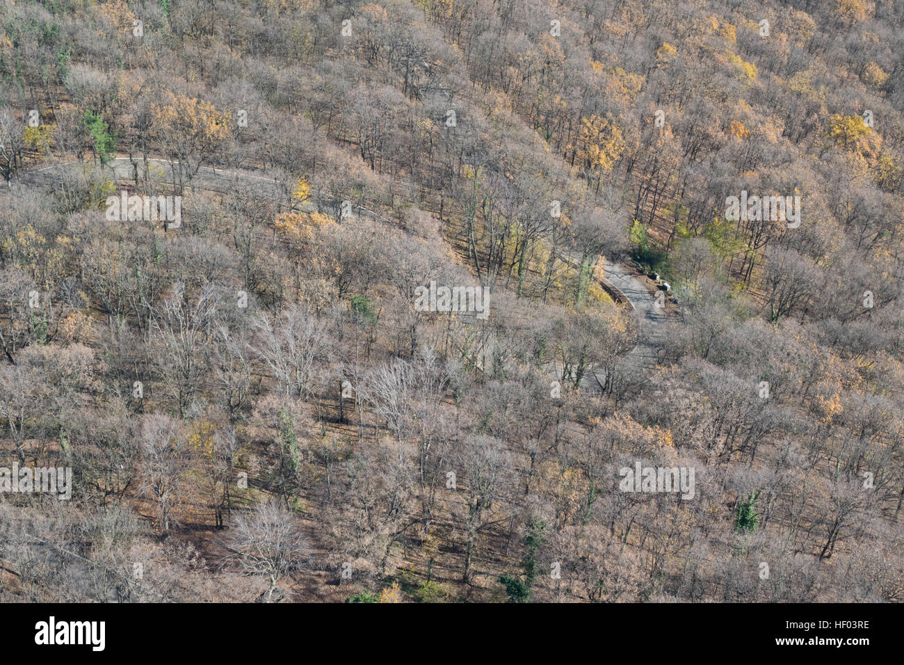 Aerial view on mountain road in the forest on the sunny day Stock Photo ...