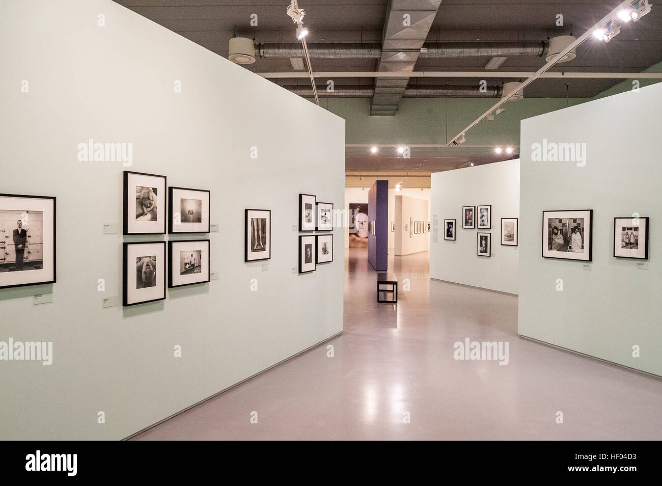 Belgium, Antwerp, fotomuseum Stock Photo - Alamy