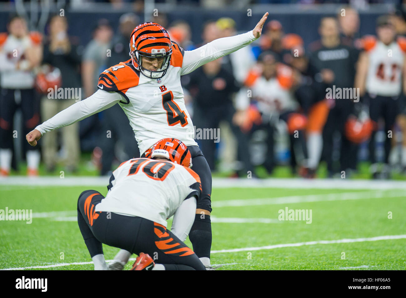 Cincinnati bengals kicker hi-res stock photography and images - Alamy