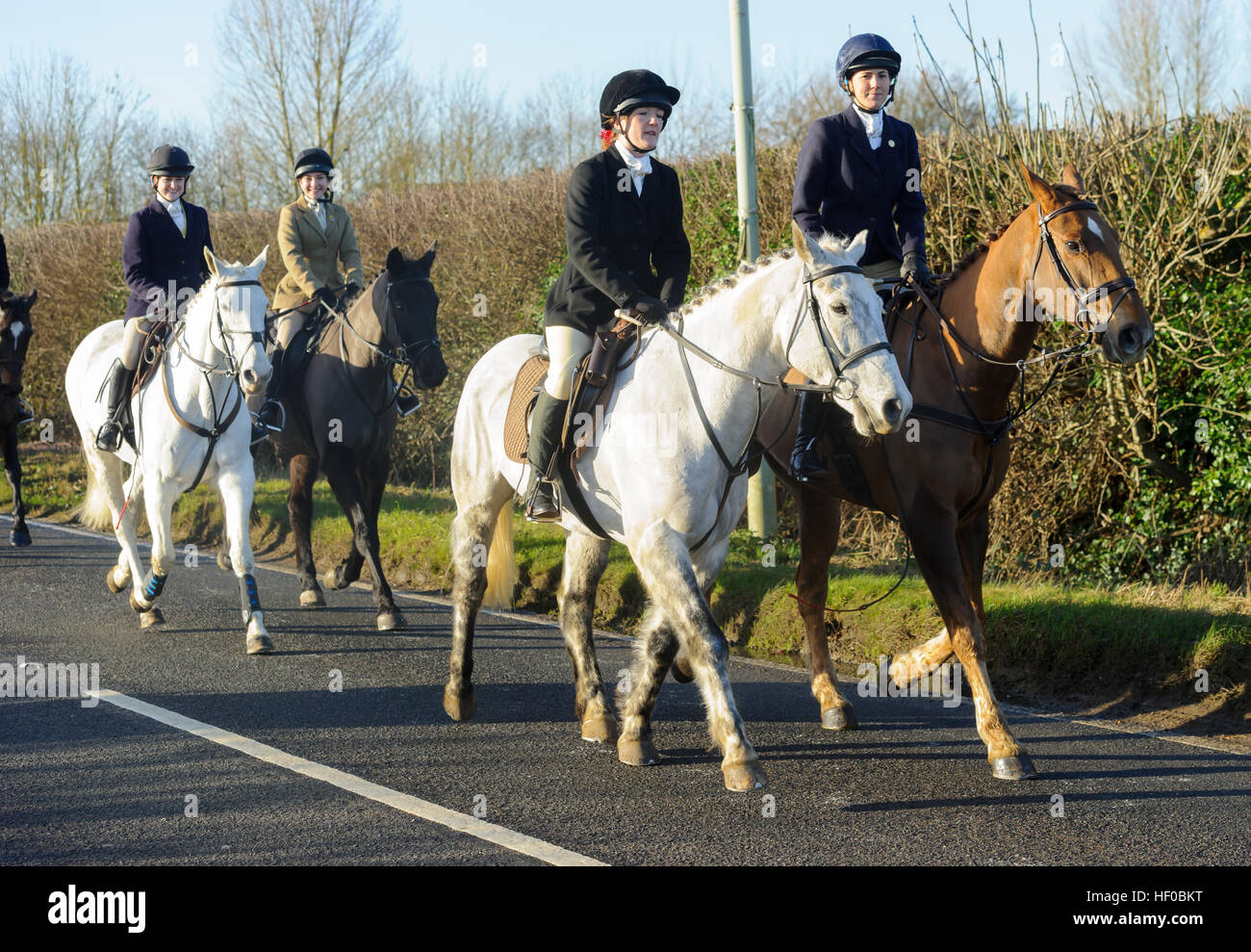 Oakham, Rutland. 26th December 2016. The Cottesmore Hunt meet on Boxing Day for the 350th time in its history. Credit: Nico Morgan/Alamy Live News Stock Photo