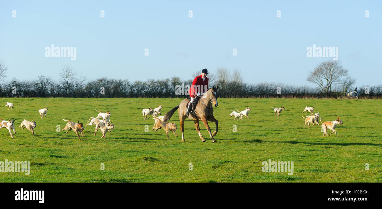 Oakham, Rutland. 26th December 2016. The Cottesmore Hunt meet on Boxing Day for the 350th time in its history. Credit: Nico Morgan/Alamy Live News Stock Photo