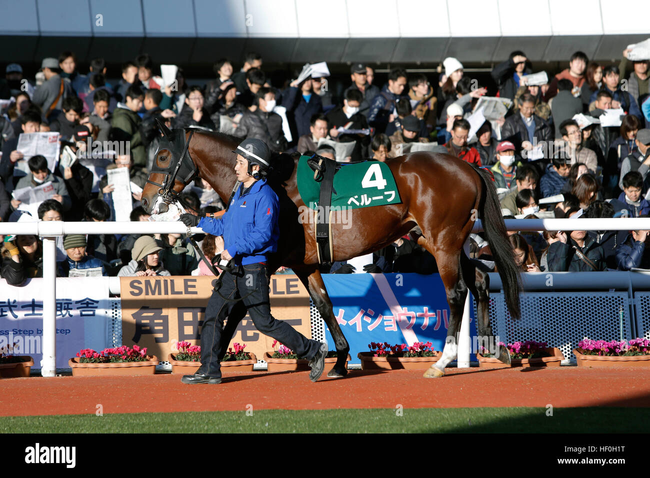 Hyogo, Japan. 10th Dec, 2016. Beruf Horse Racing : Beruf is led through the paddock before the Challenge Cup at Hanshin Racecourse in Hyogo, Japan . © Eiichi Yamane/AFLO/Alamy Live News Stock Photo