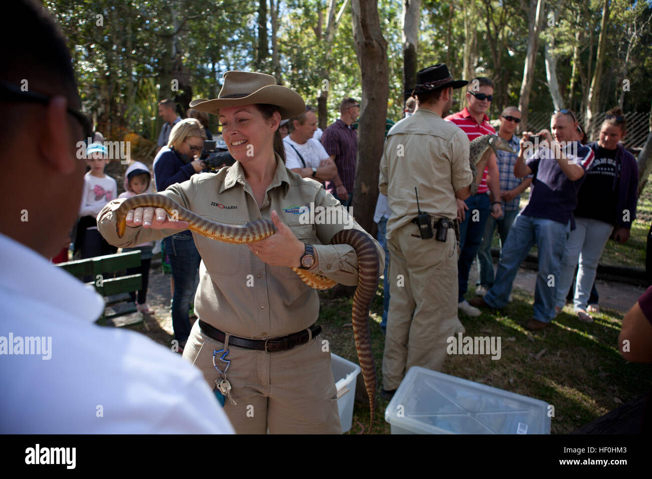U.S. Marines with 31st Marine Expeditionary Unit look at a python (left ...