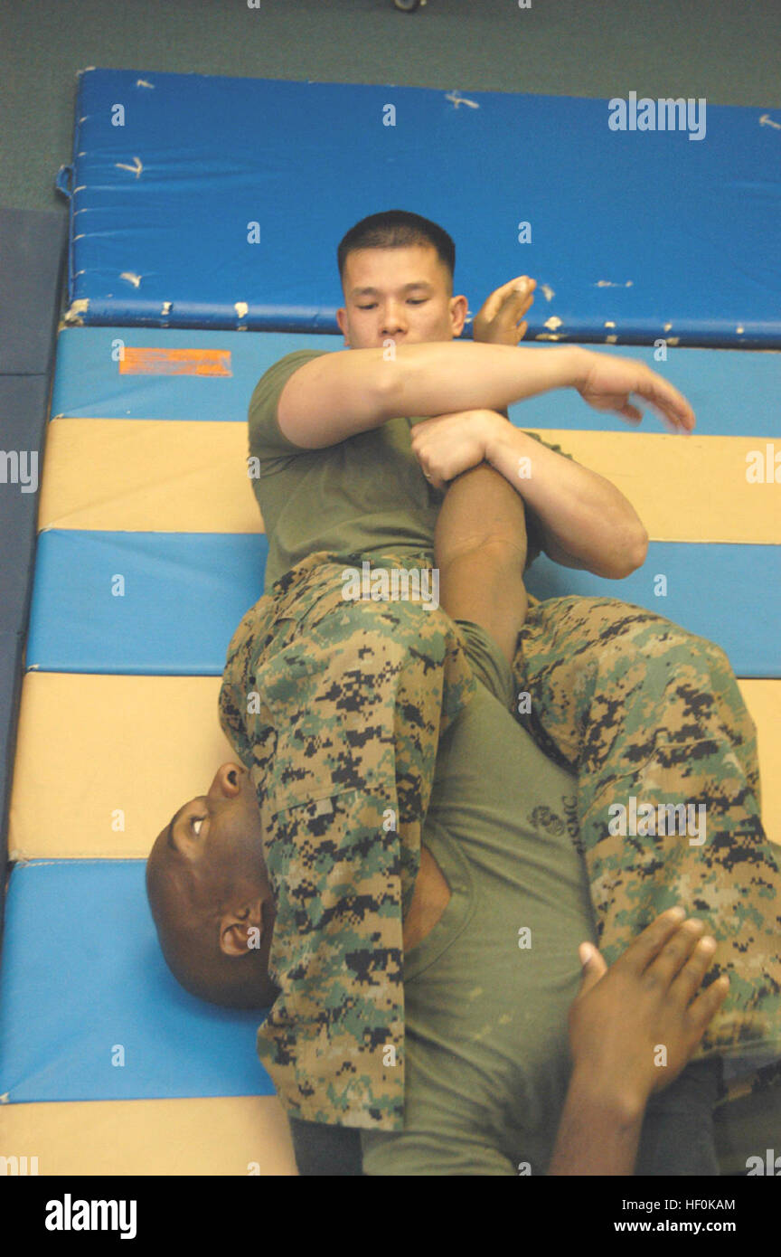 Armlock jujigatame armbar Stock Photo Alamy