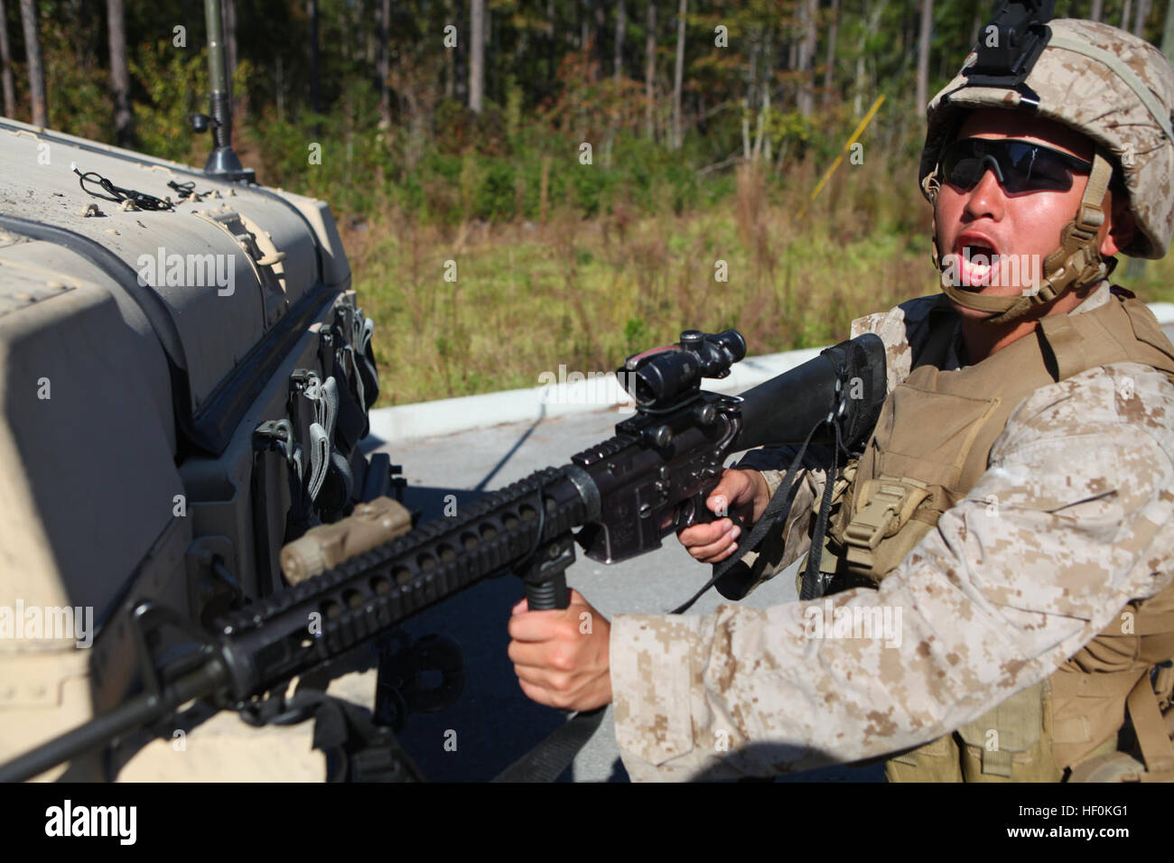 A Marine from Charlie Company, 2nd Marine Regiment, 1st Battalion ...