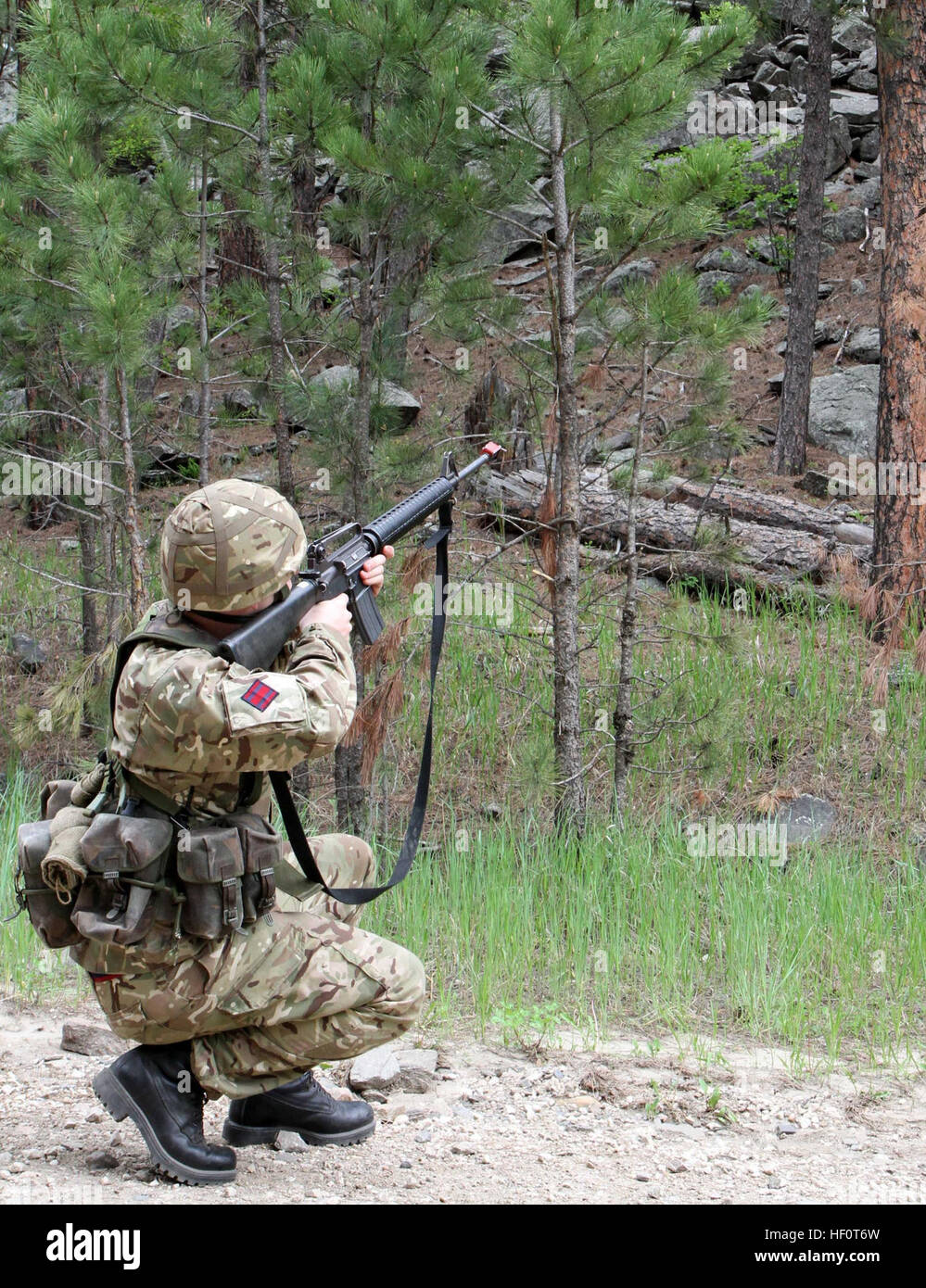 An engineer with Great Britain's 72 Engineer Regiment, of Newcastle, England, returns fire on an enemy sniper position during a counter-improvised explosive device training lane near Camp Rapid on Tuesday, June 11, 2013. The counter-improvised explosive device training lane was one of many dynamic training events that take place during the annual Golden Coyote training exercise that drew military forces from all over the world and was hosted by the South Dakota National Guard. British engineers E28098cross the pondE28099 for Golden Coyote 130611-Z-SO274-002 Stock Photo