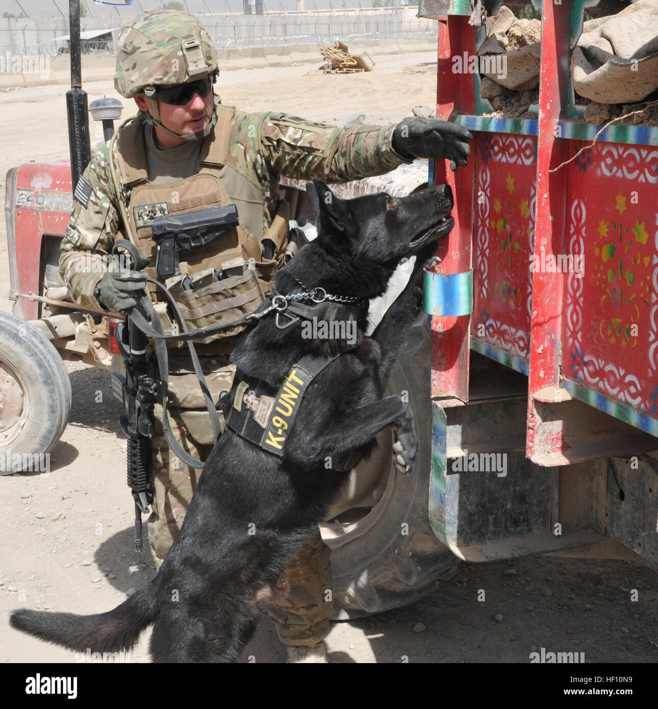 Sgt. Adam Serella, a narcotics patrol detector dog handler with the 3rd Infantry Division, guides his dog, Nero, while searching vehicles high and low during Operation Clean Sweep, conducted in districts throughout Kandahar City, Oct. 3. Nero's agility was exemplified as he maneuvered in and around the vehicles, not missing a single location Serella guided him to. 563rd MPs, AUP clearance operation discover two noses is better than one 121003-Z-NO327-165 Stock Photo