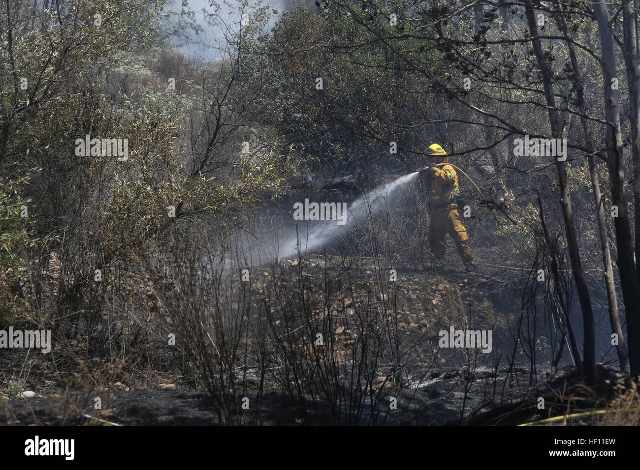MCAS Miramar Fire Department and several other local fire departments
