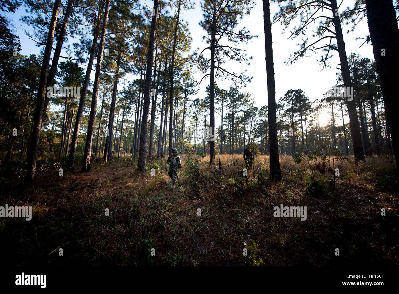 Marines patrol through the forest of Camp Geiger, N.C. during patrol ...