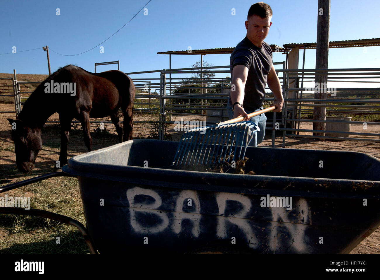 Stepp stables hi-res stock photography and images - Alamy