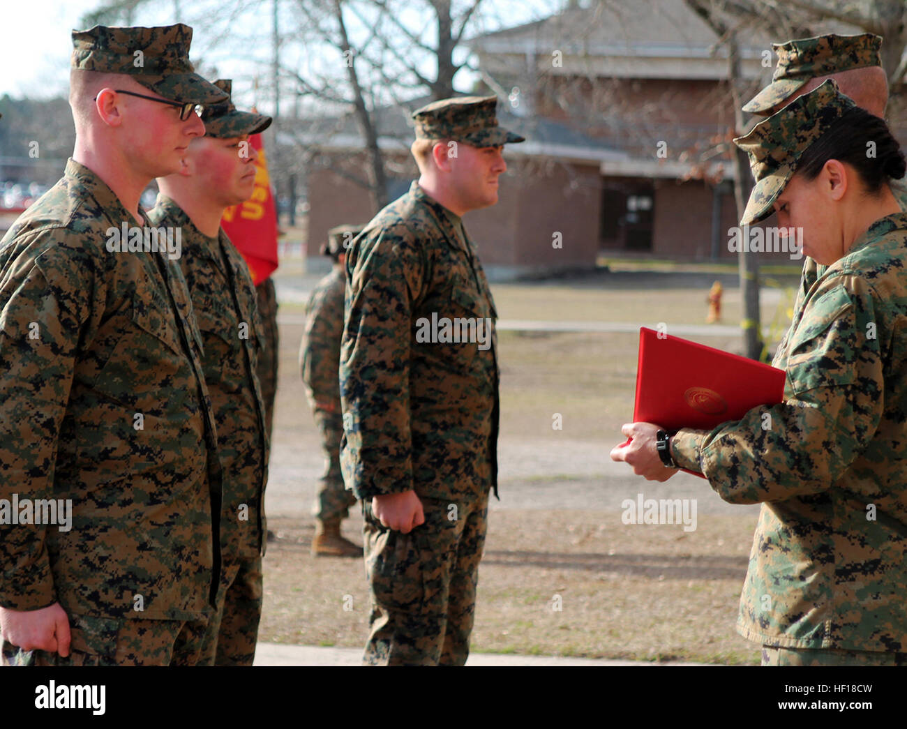 Sgt. Jeremy Moses (far left), Cpl. Myles Bayer (left center) and Lance Cpl. Adam Dwaileebe (center), all motor transportation operators with Transportation and Support Company, Combat Logistics Battalion 2, 2nd Marine Logistics Group, stand at attention in front of Lt. Col. William Stophel (far right), the commanding officer of CLB-2 and Sgt. Maj. Charmalyn Pile, the battalion sergeant major, during a Purple Heart Medal ceremony aboard Camp Lejeune, N.C., Feb. 7, 2014.  The three Marines were awarded the Purple Heart for wounds suffered in action while deployed in support of Operation Enduring Stock Photo
