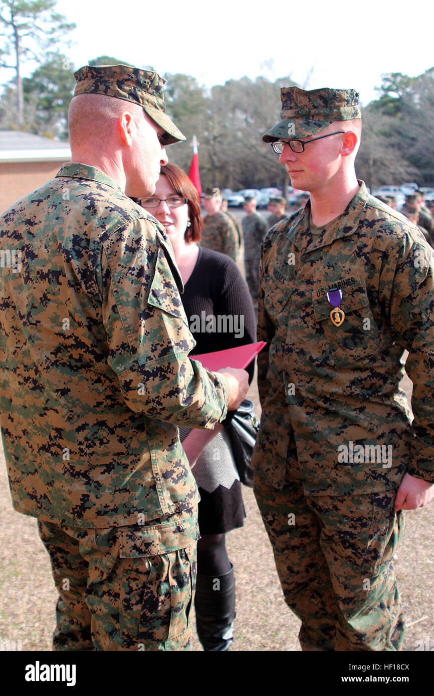 Sgt. Jeremy Moses (right), a motor transportation operator with Transportation and Support Company, Combat Logistics Battalion 2, 2nd Marine Logistics Group, and his wife stand in front of Lt. Col. William Stophel, the commanding officer of CLB-2, during a Purple Heart Medal ceremony aboard Camp Lejeune, N.C., Feb. 7, 2014. Three Marines with the company were awarded the Purple Heart for wounds suffered in action while deployed in support of Operation Enduring Freedom. T& S; Marines awarded Purple Heart Medal 140207-M-XX123-003 Stock Photo