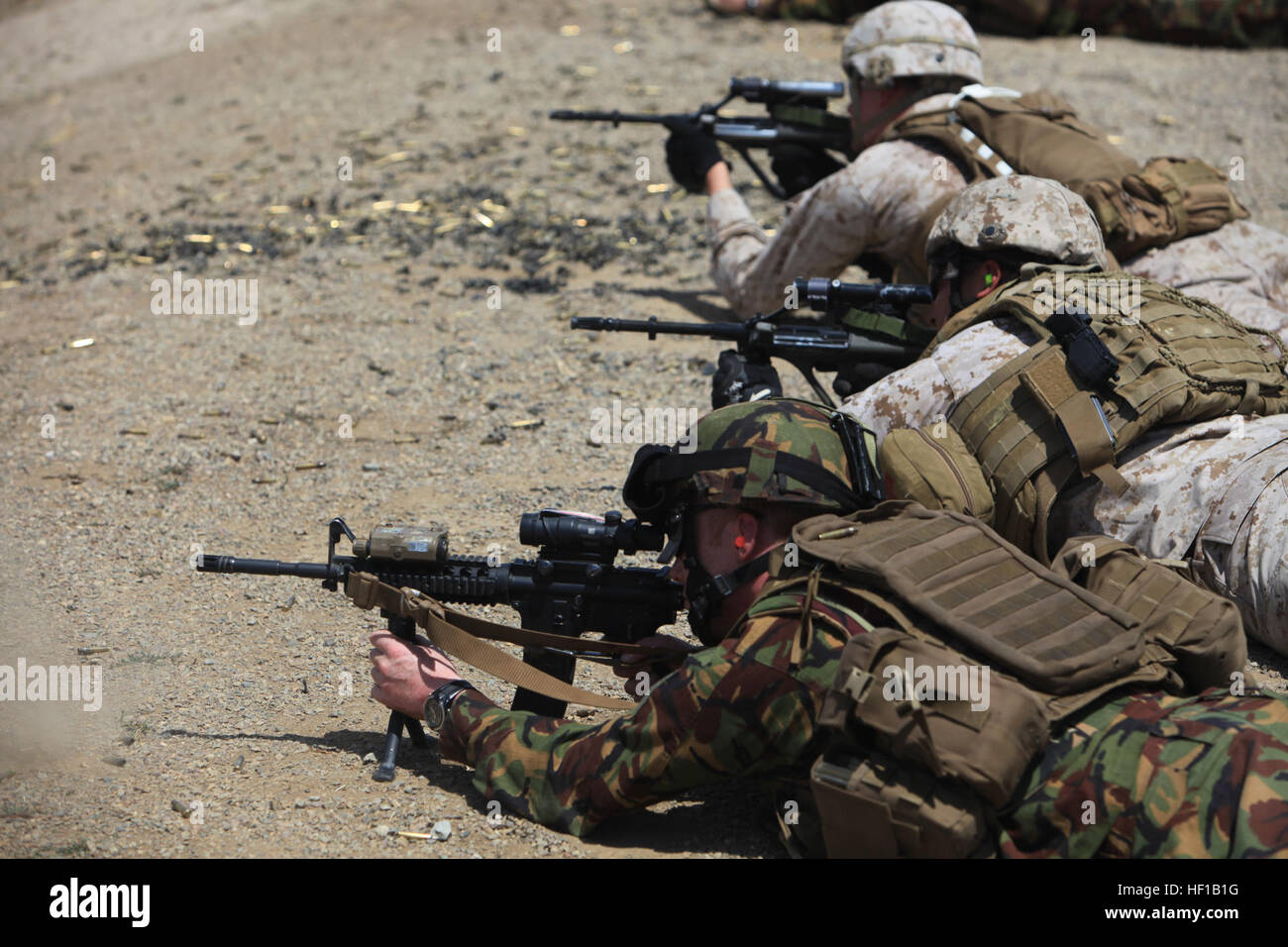 New Zealand Army photo. Primeiro tenente brazilian 1st battalion. New Zealand Army photo.