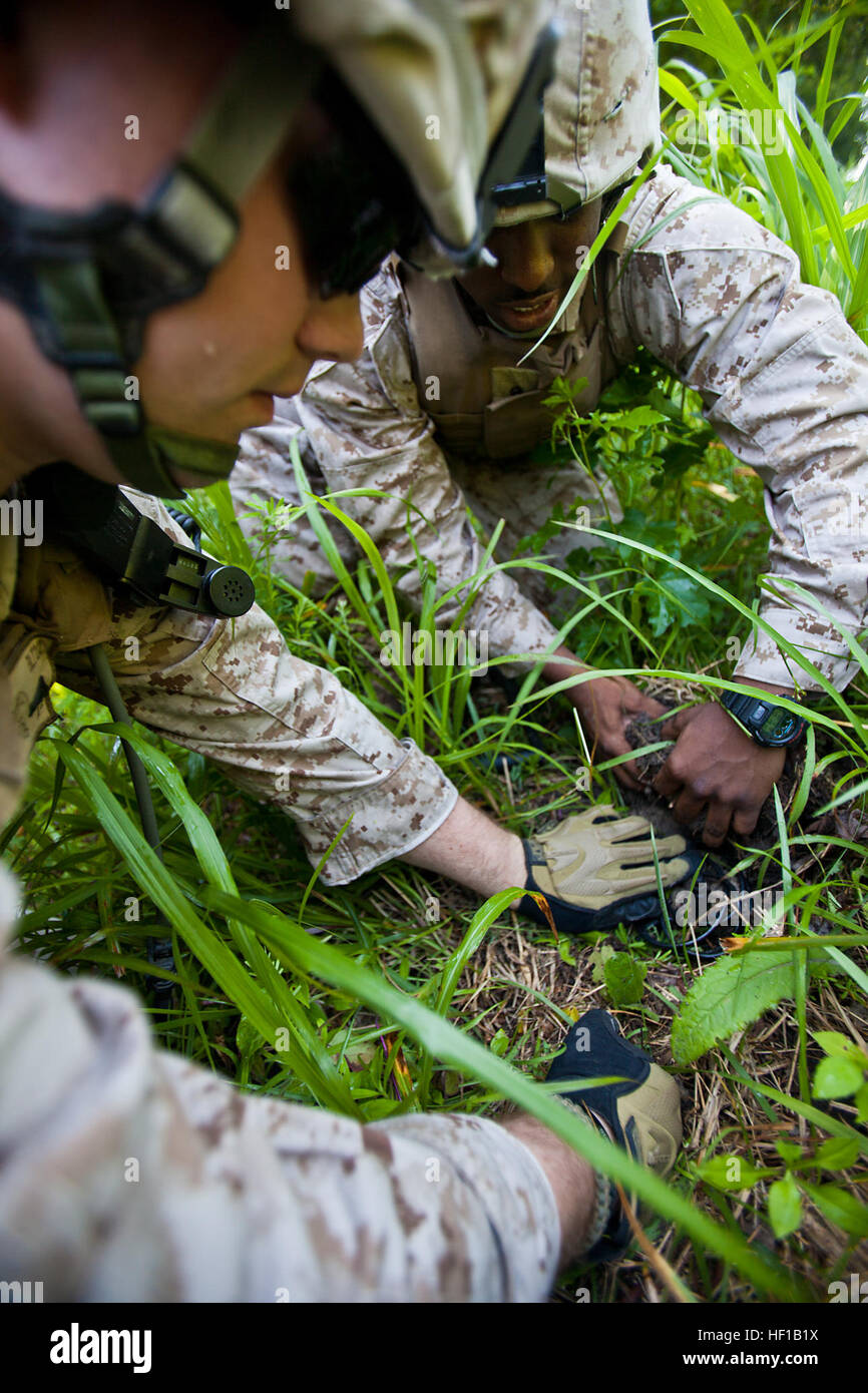 Cpl. James Long, left, 22nd Marine Expeditionary Unit ground sensor platoon assistant team leader and native of Glen Carbon, Ill., and Cpl. Tim Thompson, 22nd MEU GSP team leader and native of Valdosta, Ga., bury and camouflage a seismic ground sensor during the 22nd Marine Expeditionary Unit,Äôs interoperability exercise at Marine Corps Base Camp Lejeune, N.C., June 12, 2013. Approximately 30 intelligence Marines from the MEU's command and support element intelligence sections trained to efficiently mesh together in the fast-paced MEU setting for the unit's upcoming deployment. (Marine Corps  Stock Photo