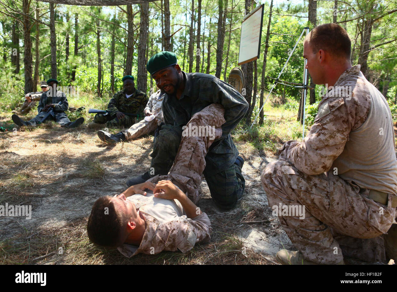 A role-player applies a leg-lock to Cpl. Richard Wehner, an automotive organizational mechanic and White Marsh, Md., native, with Special-Purpose Marine Air-Ground Task Force Africa while Lance Cpl. Matthew Doyne, a machine gunner and Williamstown, N.J., native watches during their Alternate Mission Rehearsal Exercise aboard Camp Lejeune, N.C., June 14, 2013. The Task Force conducted pre-deployment training for their upcoming deployment this summer to Naval Air Station Sigonella, Italy, where they will support U.S. Marine Corps Forces Africa. (U.S. Marine Corps photo by Lance Cpl. Ryan Joyner/ Stock Photo