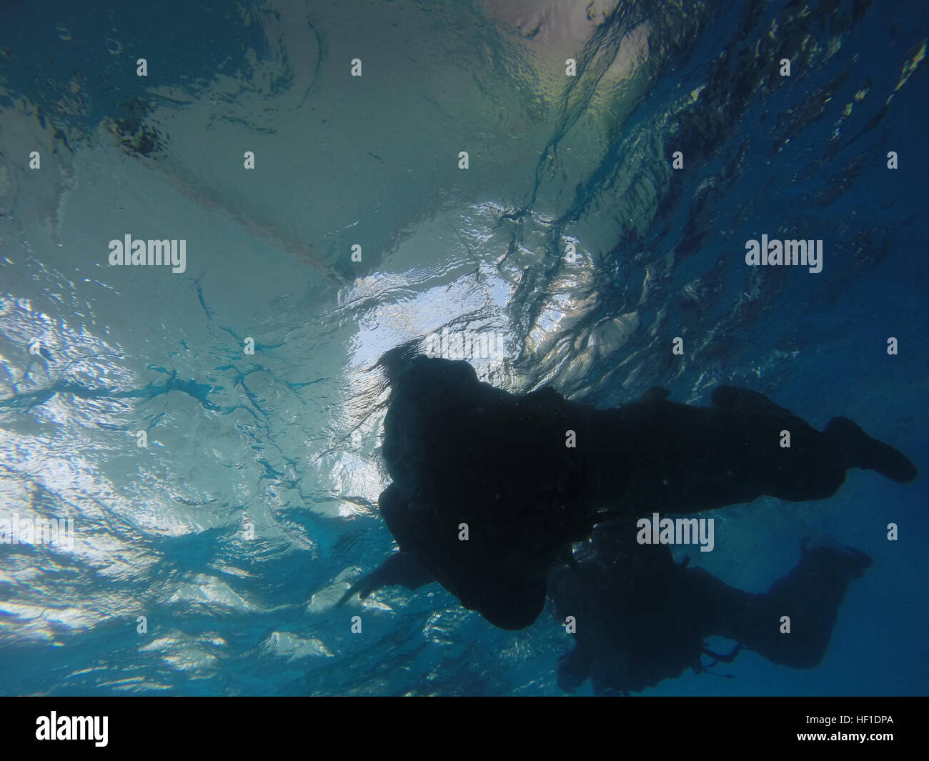 U.S. Marines swim with main packs during qualification in thel Camp