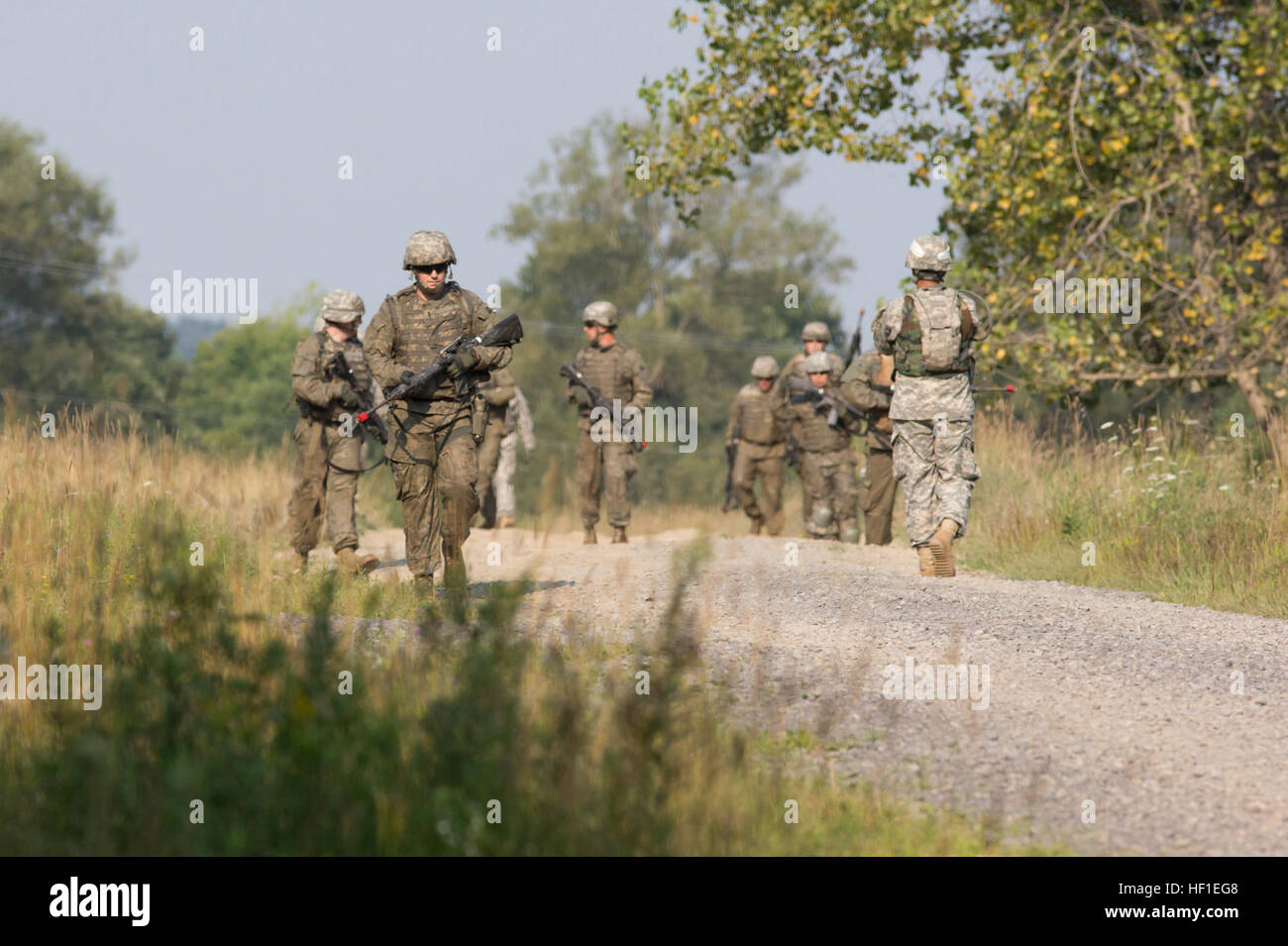 FORT DRUM, N.Y. Soldiers of the New York Army National Guard's e 42nd